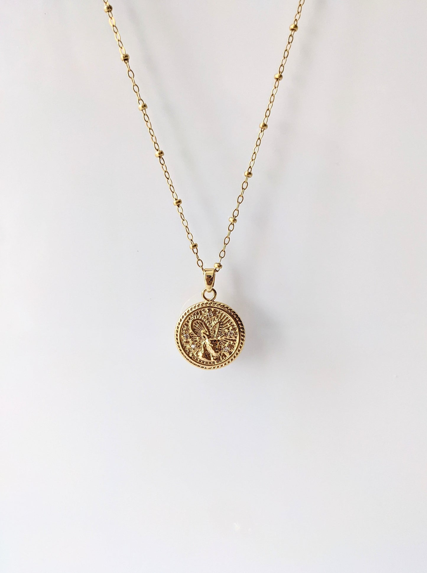 Capricorn Zodiac Necklace Layer the Love