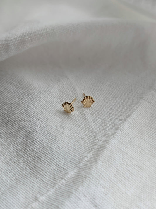 Seashell Stud Earrings Layer the Love